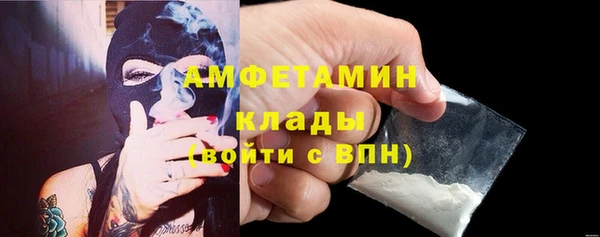 молекула духа Осинники