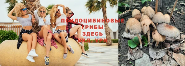 молекула духа Осинники