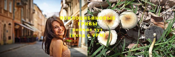 дмт Бронницы